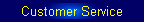 Customer Service